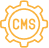 CMS web development